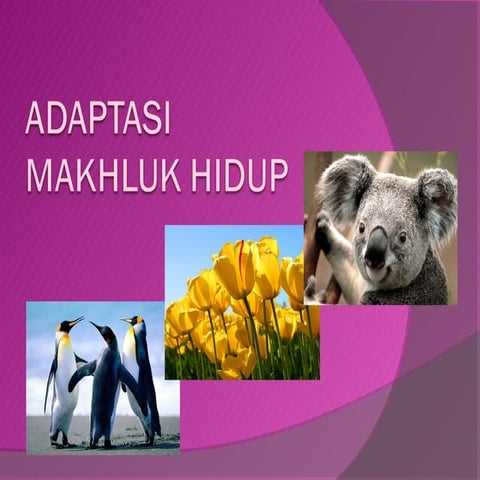 Adaptasi | PPT