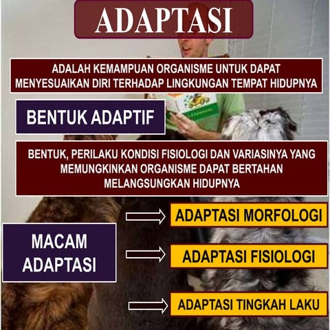 adaptasi-130706010812-phpapp02.pdf