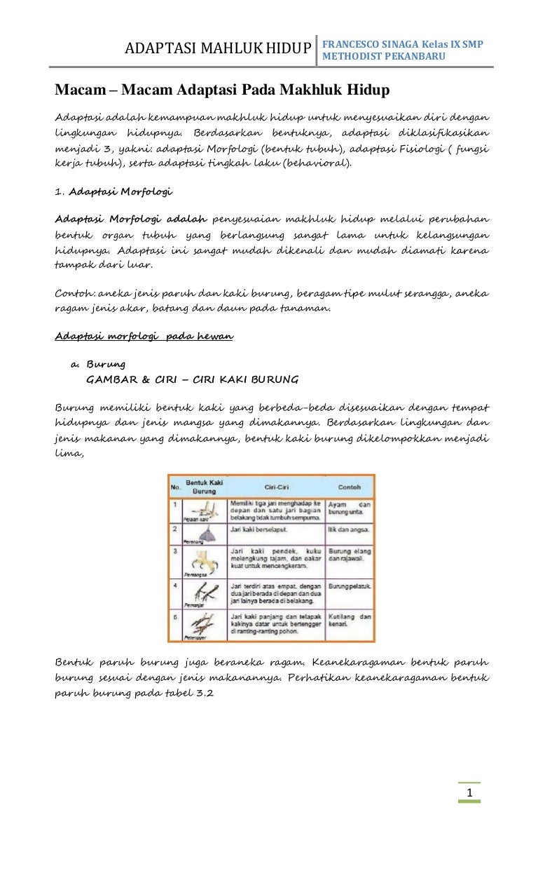 Adaptasi Mahluk Hidup Terhadap Lingkungan By Sesco
