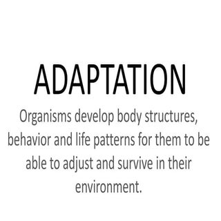Adaptation