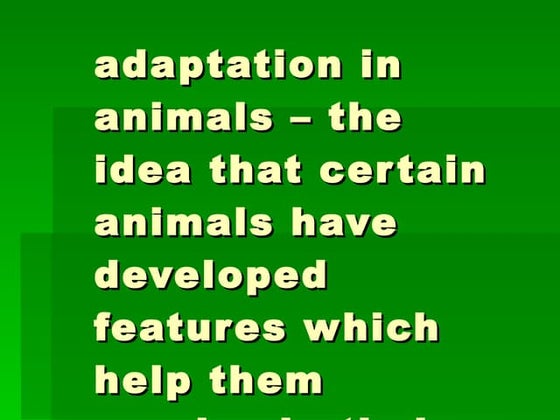 Colorful Bold Safari Animals Presentation.pptx