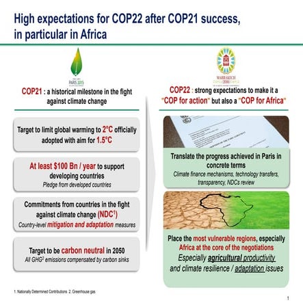 Initiative Adaptation of African Agriculture 