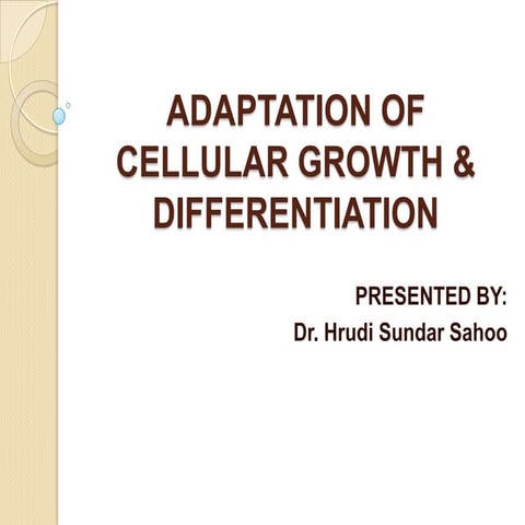 Adaptation of cellular growth & differentiation