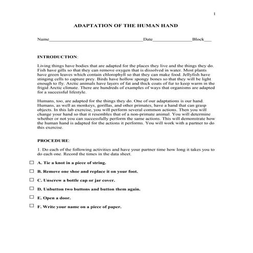 Adaptation of the Human Hand