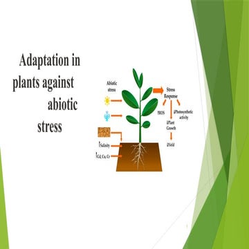 Abiotic stress resistance @ sid | PPTX
