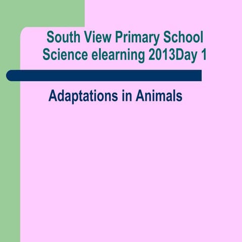 Adaptations in animals p6 elearning 2013 day 1