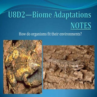 Adaptations in different biomes notes