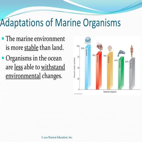 Adaptations of marine organisms