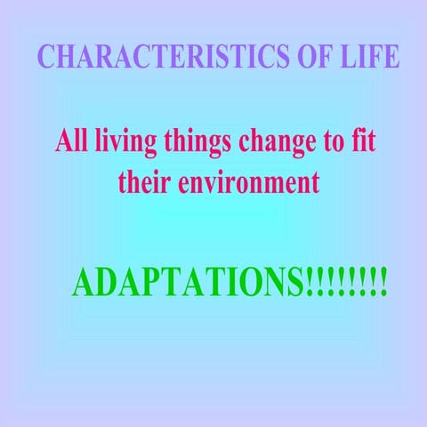 Adaptations ppt