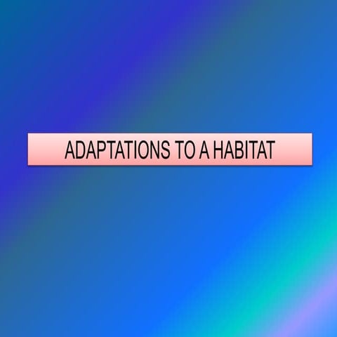 ADAPTATIONS TO A HABITAT.pptx