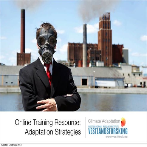  Adaptation strategies   selecting the right strategy 