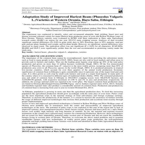 Adaptation study of improved haricot beans