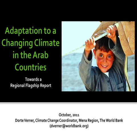 Adaptation to a changing climate in the arab countries | PDF