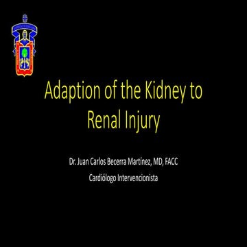 Adaption of the kidney to renal injury
