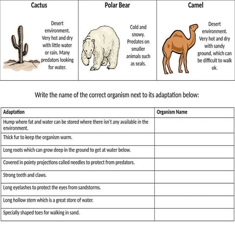 adaption organisms.pptx Physical Change: no new substance, reversible ...