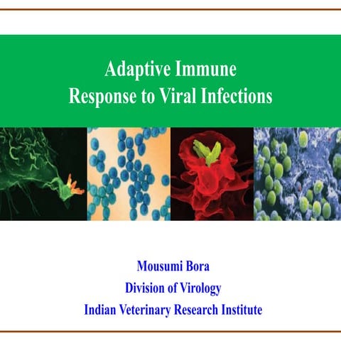 Adaptive Immune Response to Viral Infections