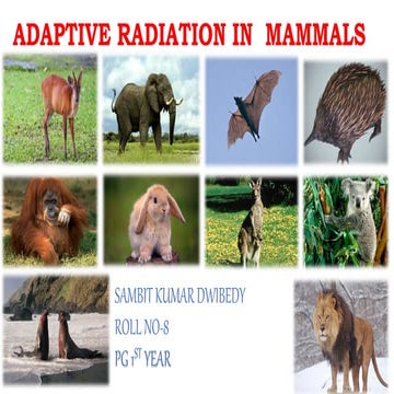 Adaptive radiation in mammals