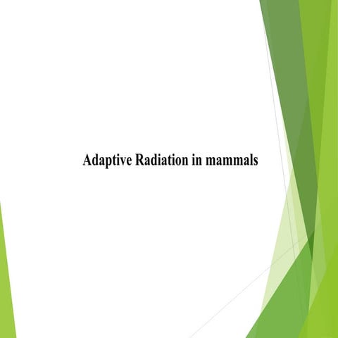 Adaptive radiation in mammals