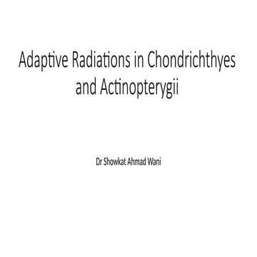 Adaptive_Radiations_in_Chondrichthyes_and_Actinopterygii[1] - Copy.pptx