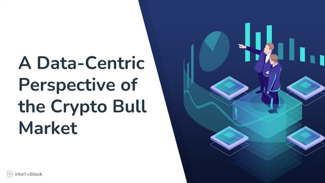 A Data-Centric Perspective of the Recent Crypto-Bull Run