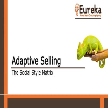 Adaptive Selling