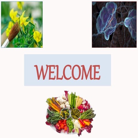 Adavanced Breeding Methods for quailty improvement in solanaceous- Pallavi Wani