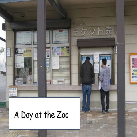 A day at the zoo