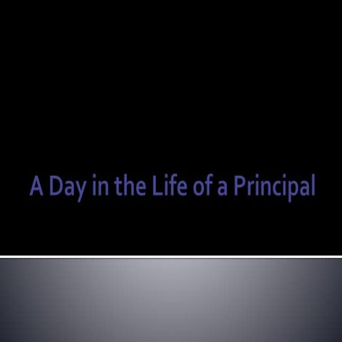 A Day in the Life of a Principal 