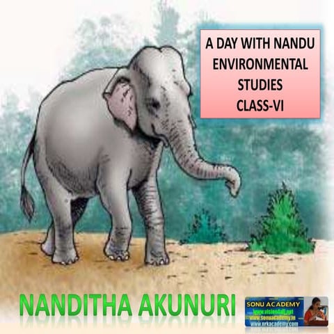 A DAY WITH NANDU ENVIRONMENTAL STUDIES  CLASS-VI