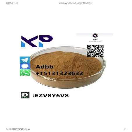 Adbb.pdf