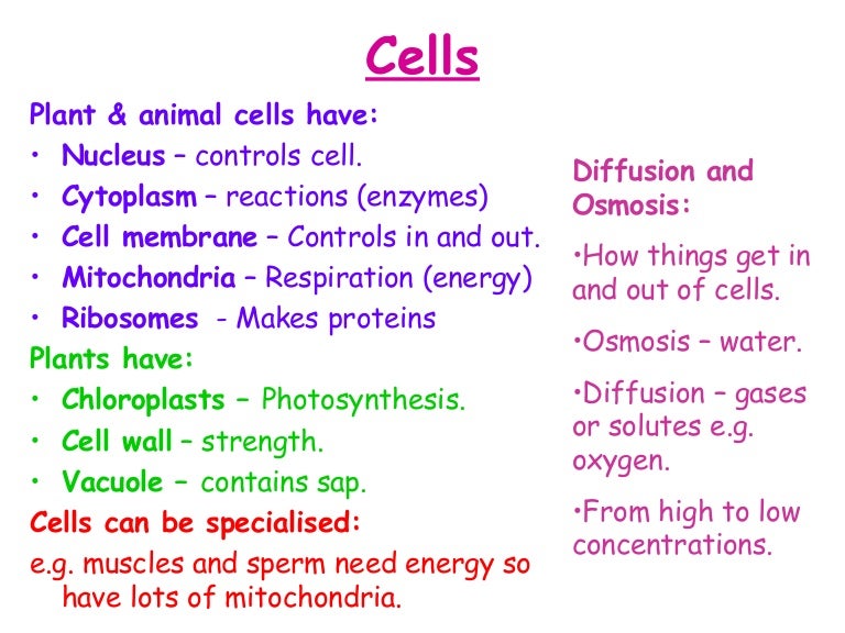 Additional Biology Revision Guide