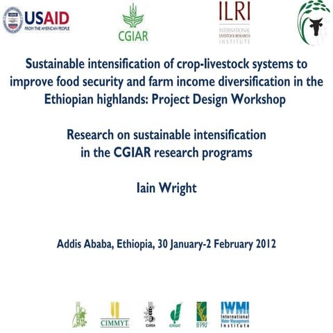 Research on sustainable intensification in the CGIAR research programs