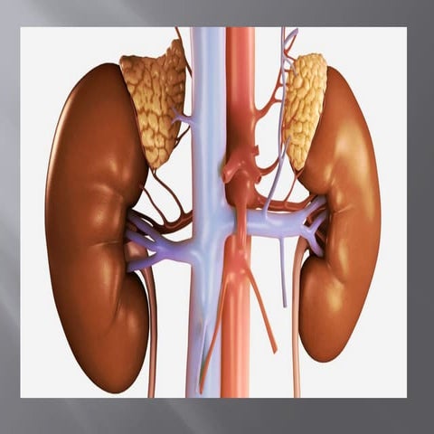 ADDISION DISEASE 2ND YEAR medical surgical nursing.pptx
