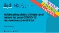 Addressing debt, climate and nature in post-COVID-19 recovery across Africa