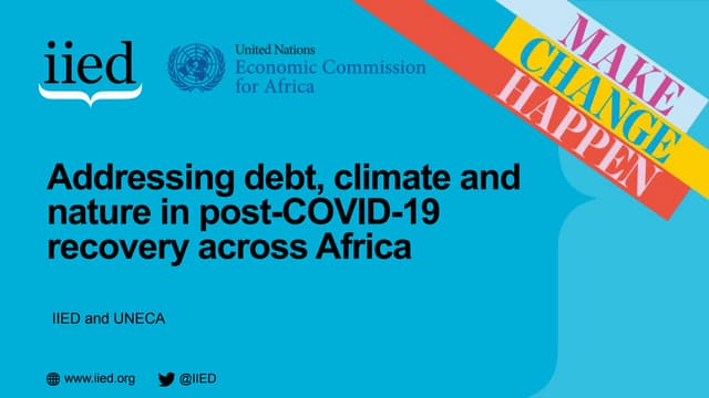Addressing debt, climate and nature in post-COVID-19 recovery across Africa