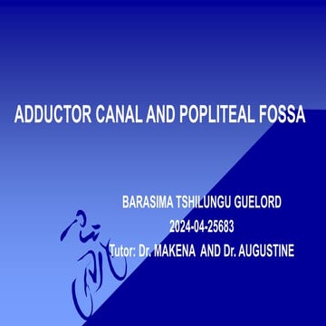 Anatomy of the Adductor Canal and popliteal fossa.pptx
