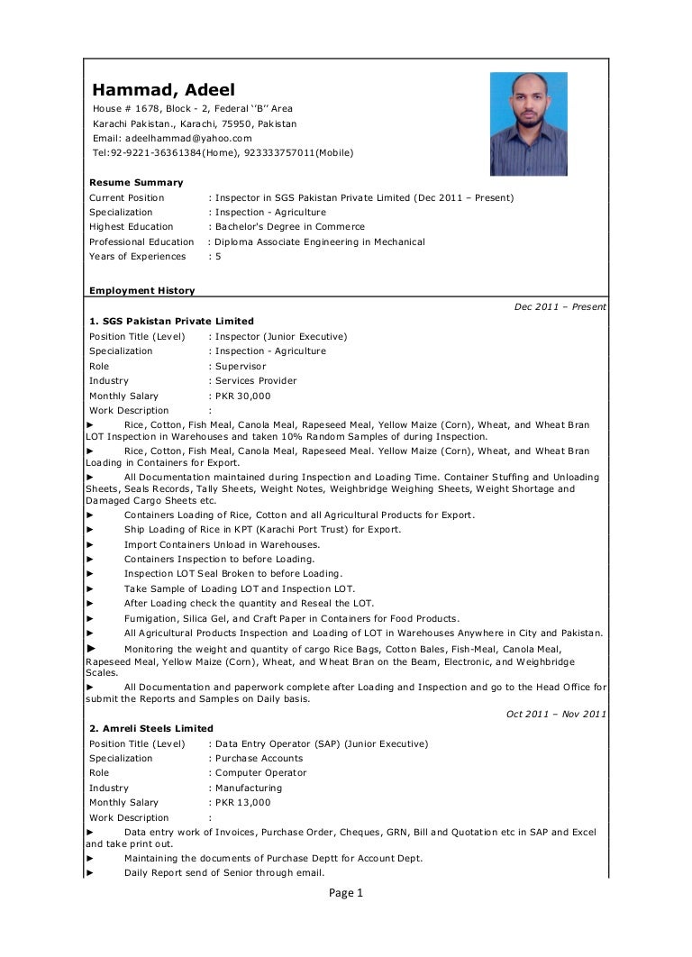 adeel hammad cv new 1 with oil amp gas references resume oil and gas