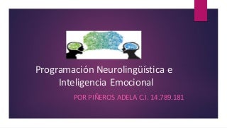 PROGRAMACIÓN NEUROLINGÜÍSTICA E INTELIGENCIA EMOCIONAL