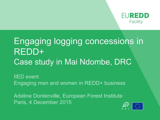 Engaging logging concessions in REDD+