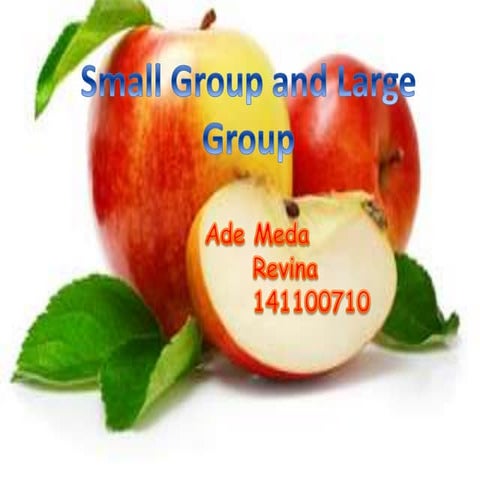 Small Group and Large Group by Ade meda revina part 2