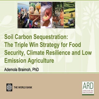 Soil-Carbon Sequestration: triple w...