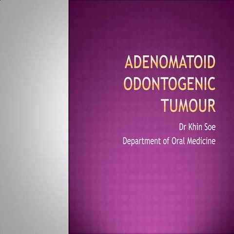 Adenomatoid odontogenic tumour and others