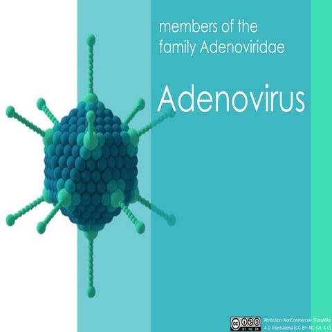 Adenovirus