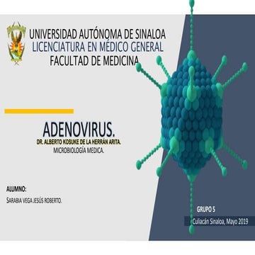 Adenovirus. 