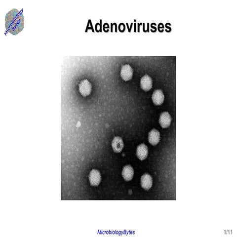 Adenoviruses