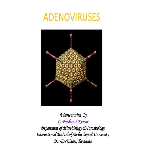 Adenoviruses