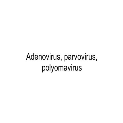 Adenovirus  parvovirus  polyomavirus