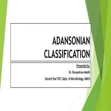 Adensonian classification