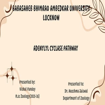 Adenylyl Cyclase Pathway(GPCR mediated Cell Signalling).pdf