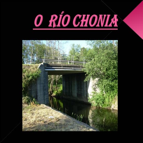 A Depuradora Da Chonia